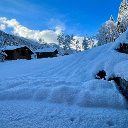 Chalet Birdie Le Grand-Bornand Luaran gambar